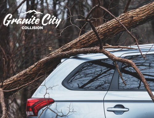 When Mother Nature Plays Rough, We’re Here to Fix Your Car